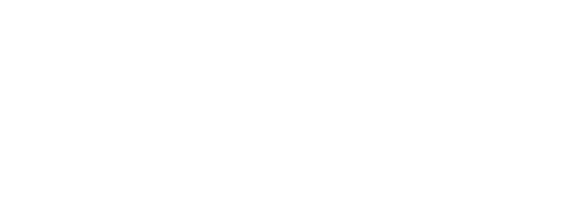 Logo Rephis Blanc
